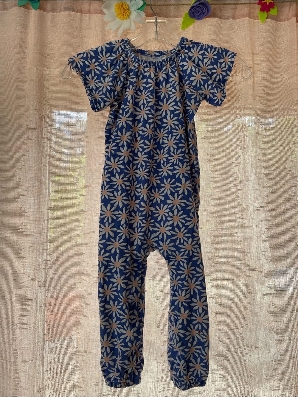 Hanna Andersson Blue Daisy-Print Short Sleeve Romper